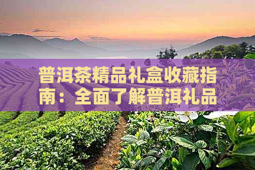 普洱茶精品礼盒收藏指南：全面了解普洱礼品茶价格与品质