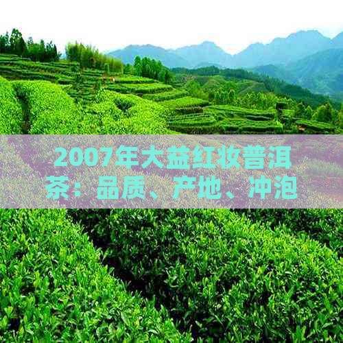 2007年大益红妆普洱茶：品质、产地、冲泡方法全面解析，助您挑选与品鉴