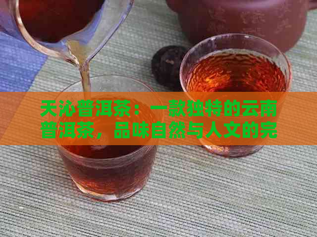 天沁普洱茶：一款独特的云南普洱茶，品味自然与人文的完美融合