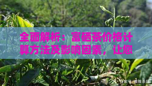 全面解析：富硒茶价格计算方法及影响因素，让您轻松了解富硒茶的价格构成