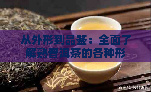 从外形到品鉴：全面了解熟普洱茶的各种形态及其特点