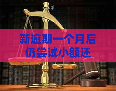 新逾期一个月后仍尝试小额还款，会对网贷产生什么影响？