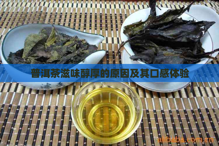 普洱茶滋味醇厚的原因及其口感体验