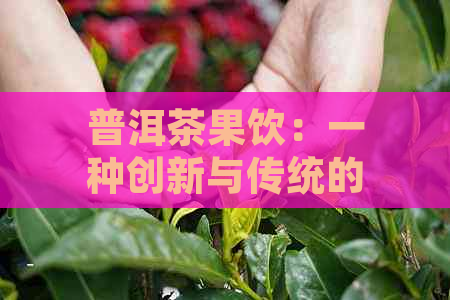 普洱茶果饮：一种创新与传统的完美结合，探索其制作工艺与品鉴技巧