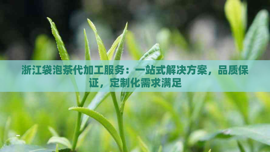 浙江袋泡茶代加工服务：一站式解决方案，品质保证，定制化需求满足