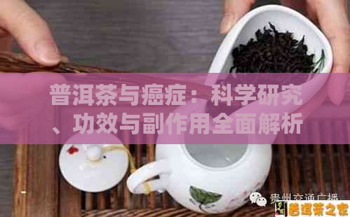 普洱茶与癌症：科学研究、功效与副作用全面解析