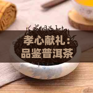 孝心献礼：品鉴普洱茶，传递尊崇与关怀