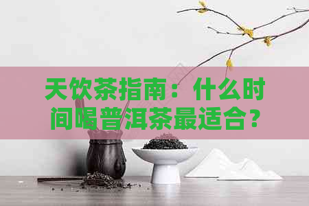 天饮茶指南：什么时间喝普洱茶最适合？如何选择普洱茶？