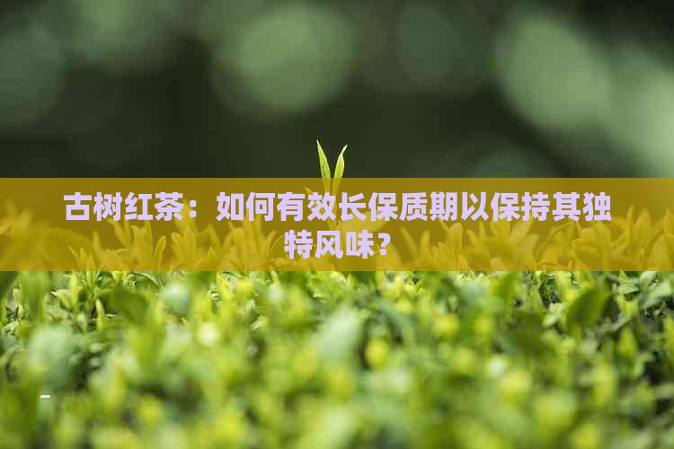 古树红茶：如何有效长保质期以保持其独特风味？