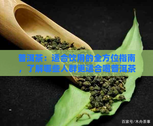 普洱茶：适合饮用的全方位指南，了解哪些人群更适合喝普洱茶