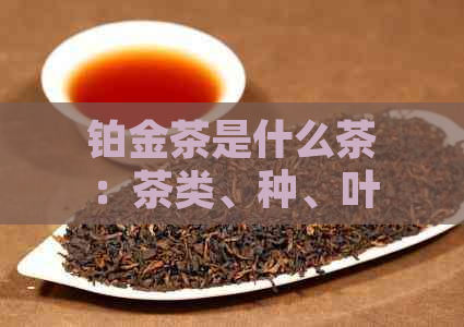 铂金茶是什么茶：茶类、种、叶和制作详解