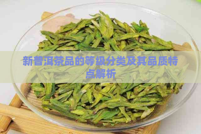 新普洱茶品的等级分类及其品质特点解析