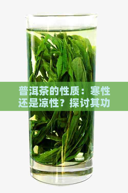 普洱茶的性质：寒性还是凉性？探讨其功效与适用人群