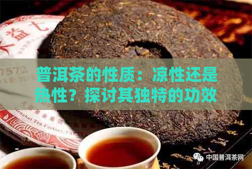 普洱茶的性质：凉性还是热性？探讨其独特的功效与适宜饮用节