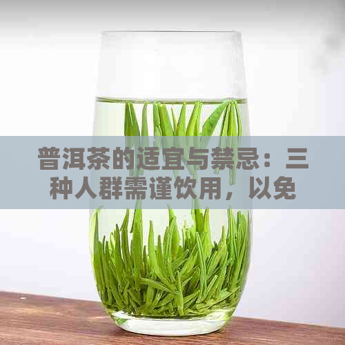 普洱茶的适宜与禁忌：三种人群需谨饮用，以免健受损