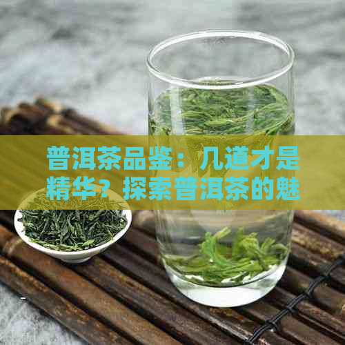 普洱茶品鉴：几道才是精华？探索普洱茶的魅力与奥秘