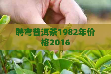 聘弯普洱茶1982年价格2016