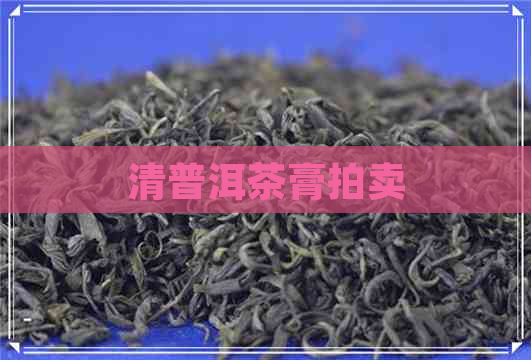 清普洱茶膏拍卖