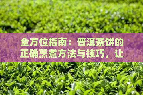 全方位指南：普洱茶饼的正确烹煮方法与技巧，让你轻松成为专业茶艺师