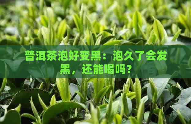 普洱茶泡好变黑：泡久了会发黑，还能喝吗？