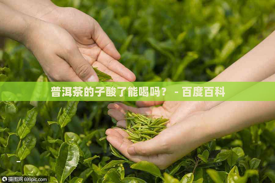 普洱茶的子酸了能喝吗？ - 百度百科