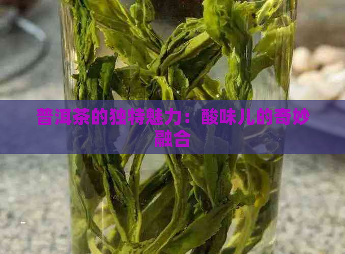 普洱茶的独特魅力：酸味儿的奇妙融合