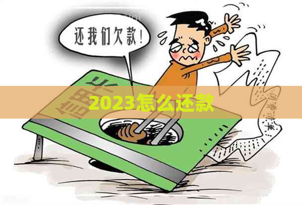 2023怎么还款