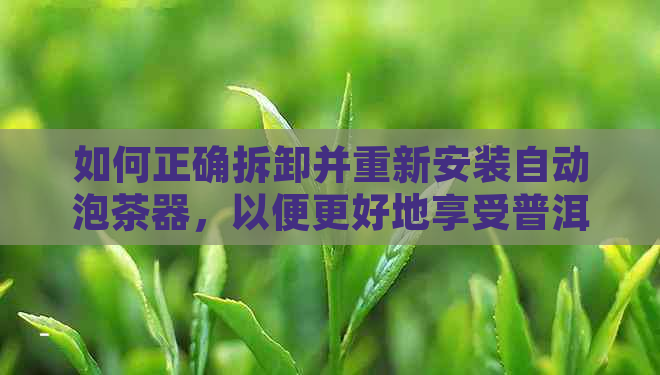 如何正确拆卸并重新安装自动泡茶器，以便更好地享受普洱茶？