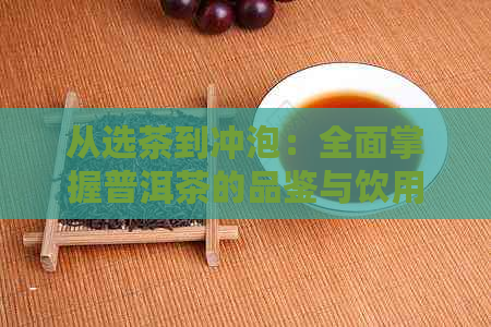 从选茶到冲泡：全面掌握普洱茶的品鉴与饮用技巧