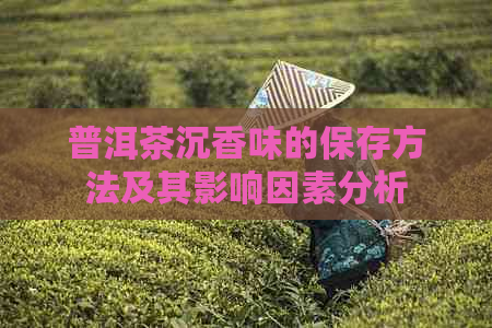 普洱茶沉香味的保存方法及其影响因素分析