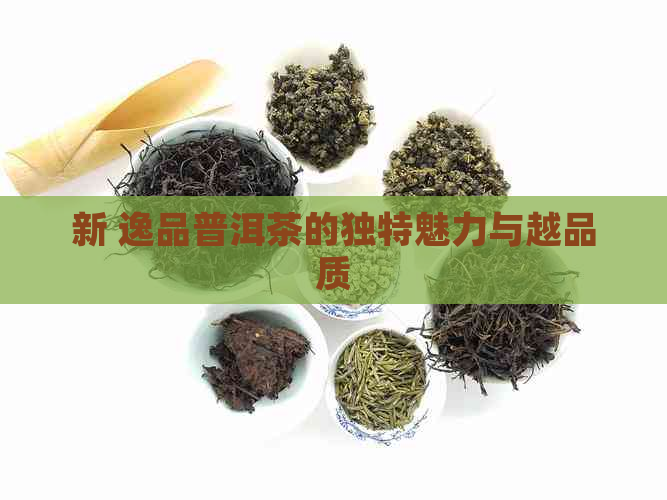 新 逸品普洱茶的独特魅力与越品质