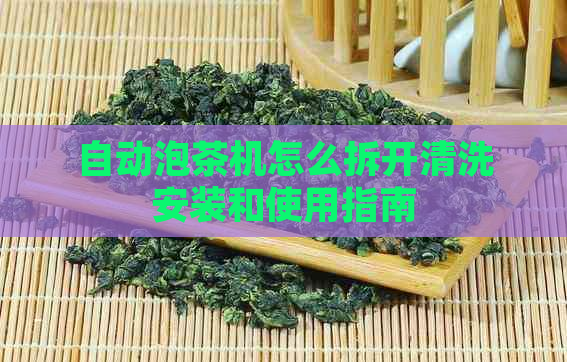 自动泡茶机怎么拆开清洗安装和使用指南