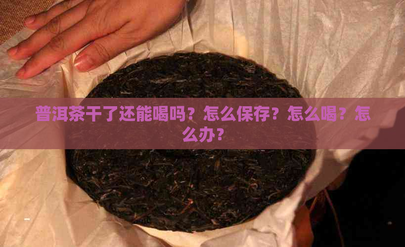 普洱茶干了还能喝吗？怎么保存？怎么喝？怎么办？