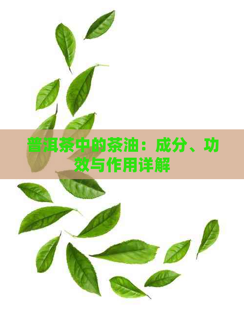 普洱茶中的茶油：成分、功效与作用详解