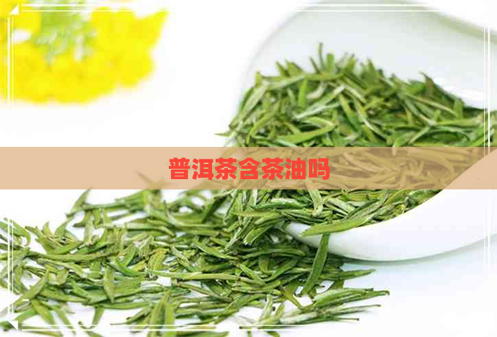 普洱茶含茶油吗