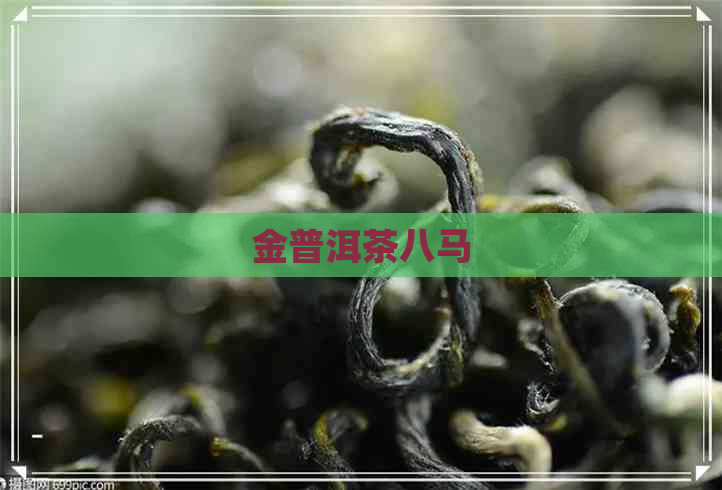 金普洱茶八马