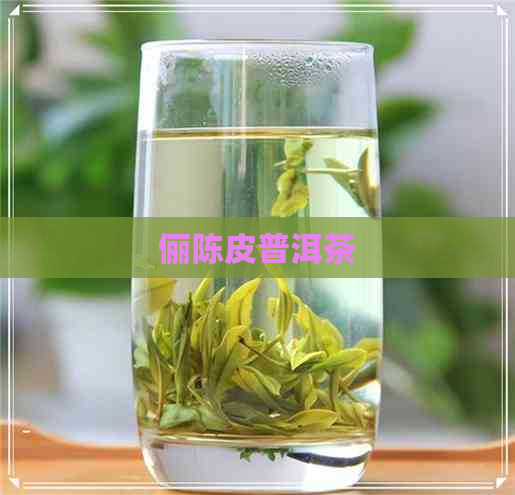 俪陈皮普洱茶