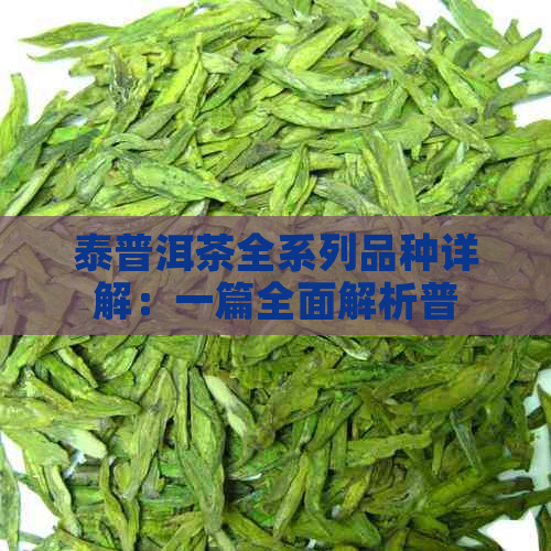 泰普洱茶全系列品种详解：一篇全面解析普洱茶分类、品质和冲泡方法的文章