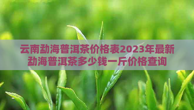 云南勐海普洱茶价格表2023年最新勐海普洱茶多少钱一斤价格查询