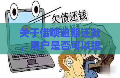 关于借呗逾期还款，用户是否可以提前还清部分款项？如何操作以及可能的影响