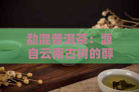 勐混普洱茶：源自云南古树的醇厚韵味与健之选