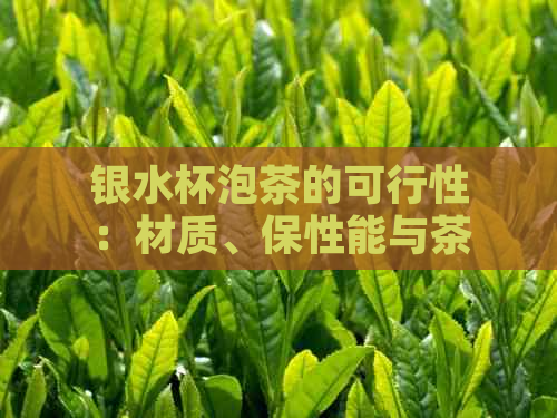 银水杯泡茶的可行性：材质、保性能与茶叶品质关系探讨