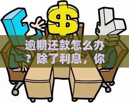 逾期还款怎么办？除了利息，你还需要先还本金！