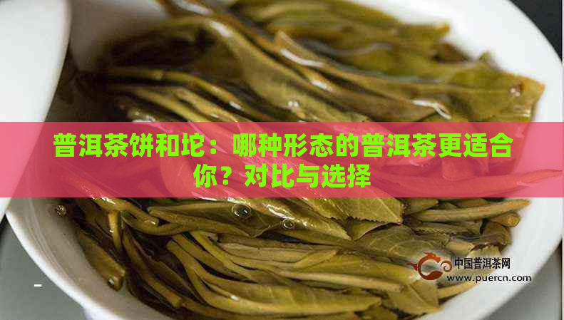 普洱茶饼和坨：哪种形态的普洱茶更适合你？对比与选择