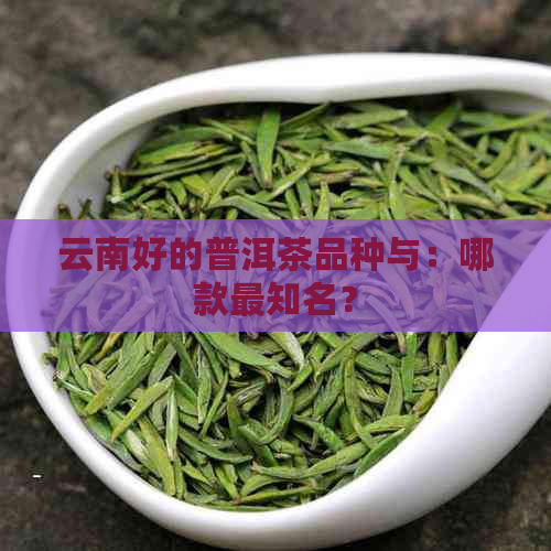 云南好的普洱茶品种与：哪款最知名？