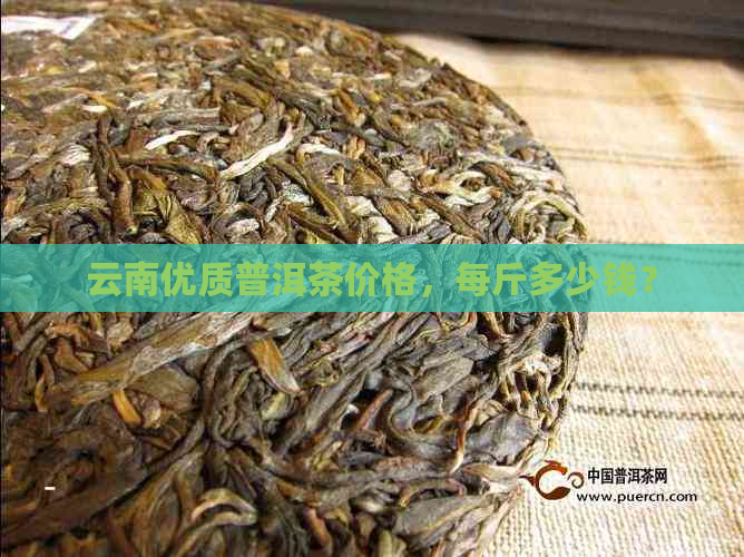 云南优质普洱茶价格，每斤多少钱？