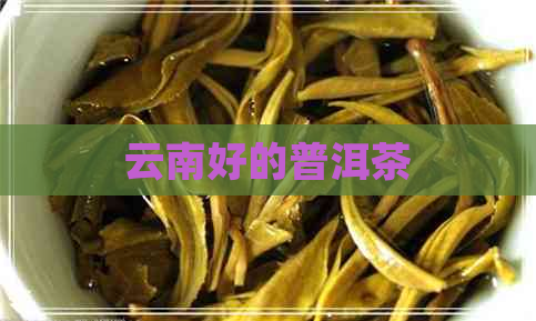 云南好的普洱茶