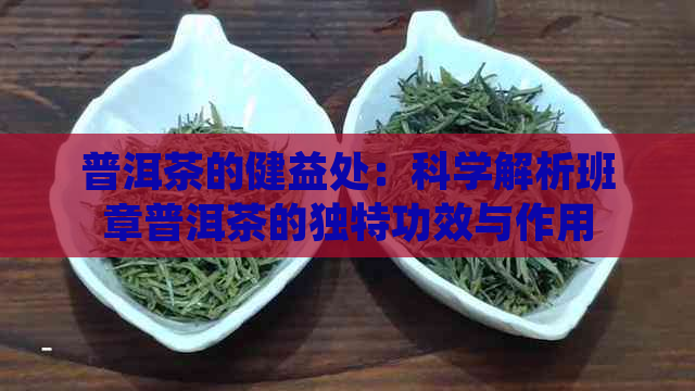 普洱茶的健益处：科学解析班章普洱茶的独特功效与作用