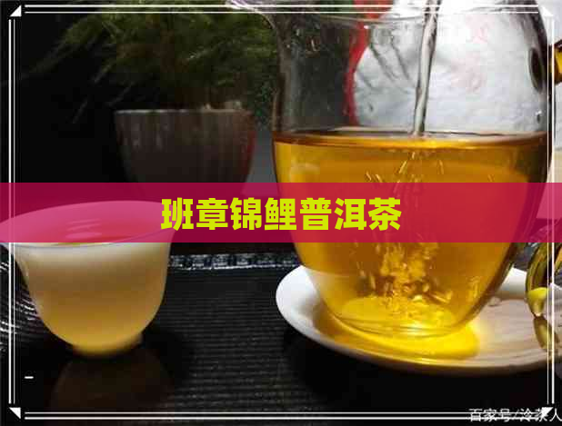 班章锦鲤普洱茶