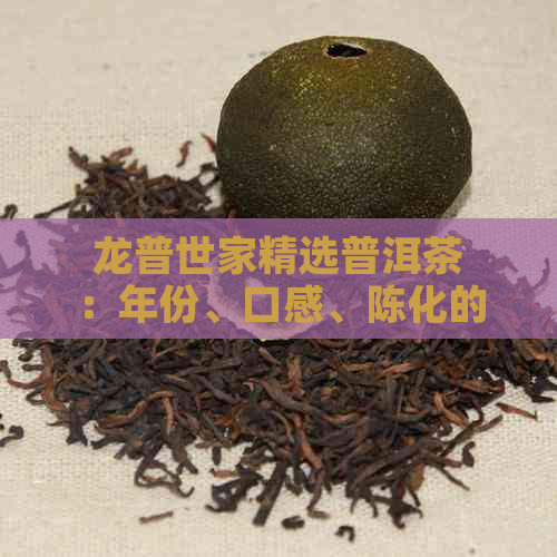 龙普世家精选普洱茶：年份、口感、陈化的秘密揭秘